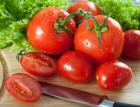 Если у помидор скручиваются листья, даю им эту копеечную подкормку: томаты растут здоровыми, урожая — тонны
