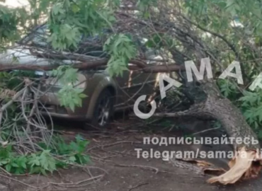 В Самаре в сквере Мичурина дерево раздавило легковушку