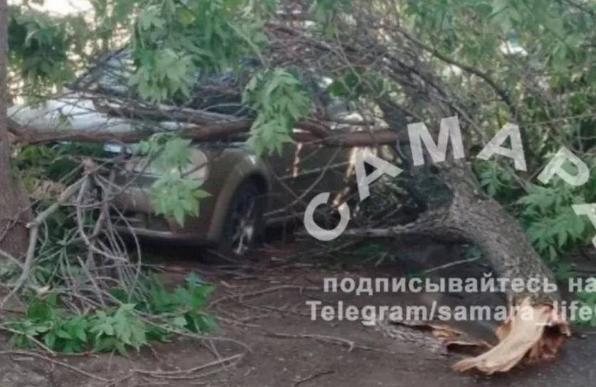 В Самаре в сквере Мичурина дерево раздавило легковушку