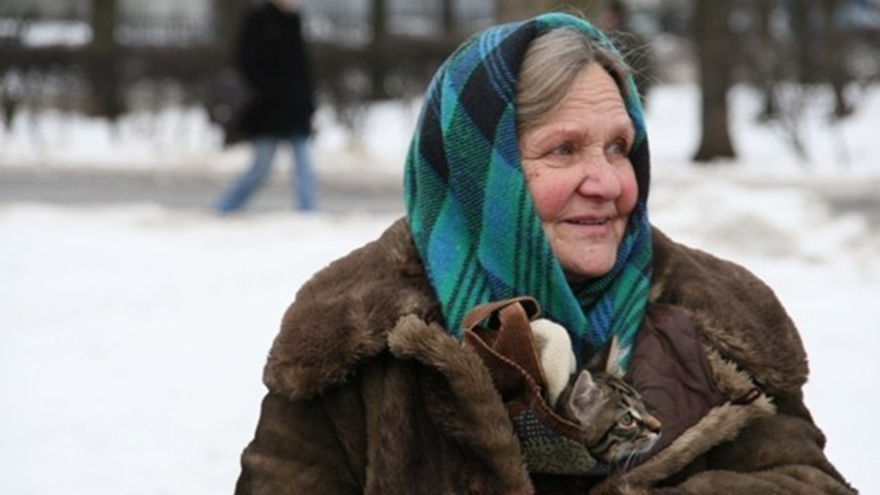 Юрист Ирина Сивакова рассказала о семи главных ...